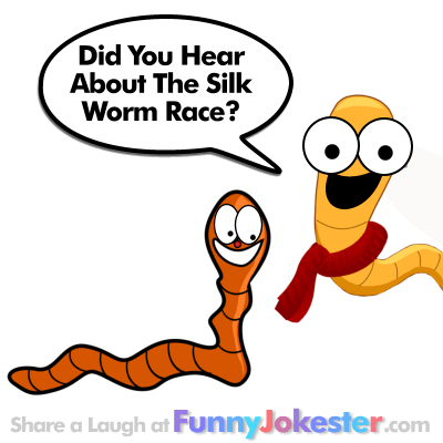 Silk Worm Joke with Cartoon! NEW Animal Jokes!