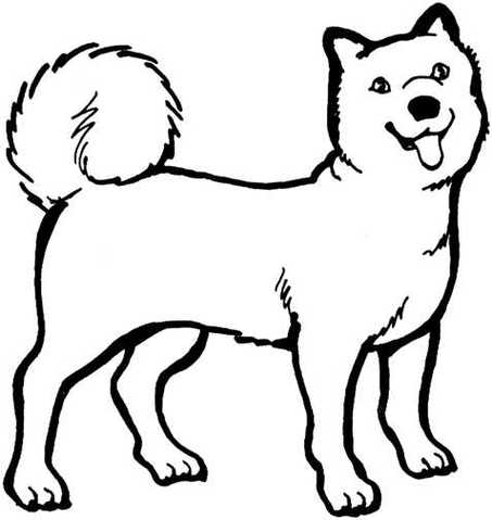 Black and white clipart dog