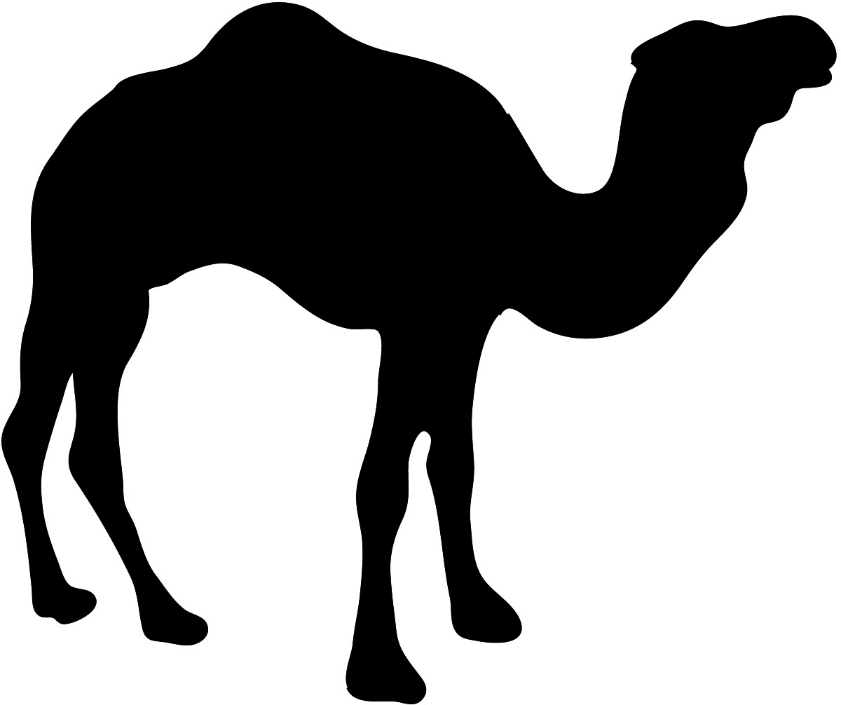 Camel Silhouette