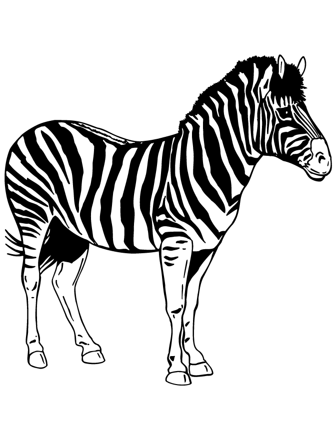 Cute Cartoon Zebra Coloring Page | Free Printable Coloring Pages