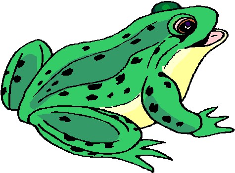 Frogs Graphics and Animated Gifs