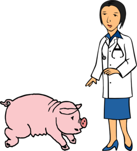 Doctor And Pig clip art - vector clip art online, royalty free ...