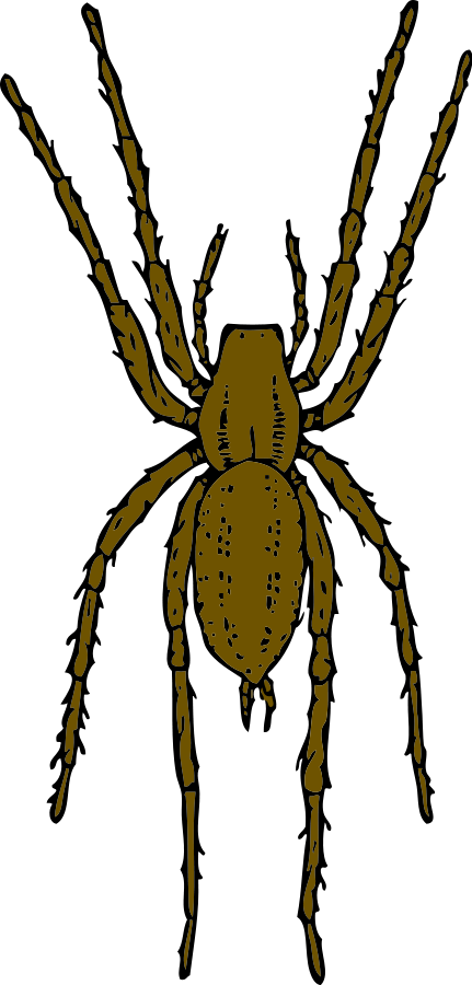 Brown Spider Clipart, vector clip art online, royalty free design ...