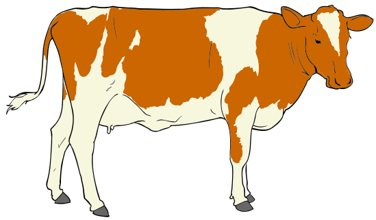 Cow Clipart « FrPic