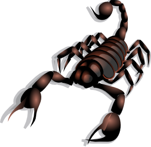 Scorpion Clip Art - vector clip art online, royalty ...
