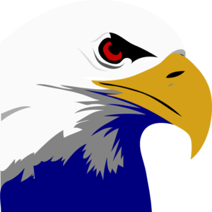 Bald Eagle clip art - vector clip art online, royalty free ...