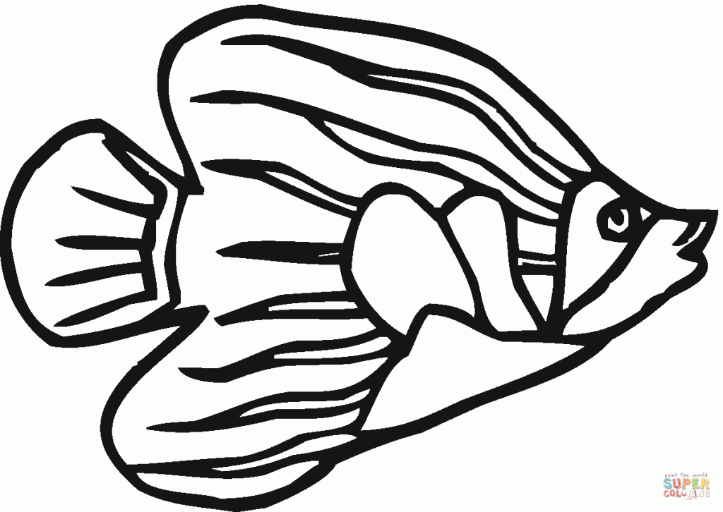 Angelfish 7 Download Coloring Page - Animal - Free Print Angelfish ...