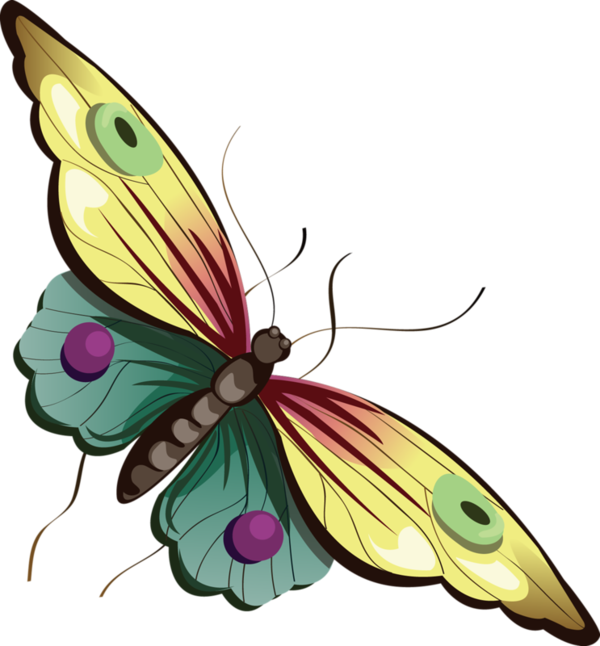 Cartoon_Yellow_and_Blue_Butterfly_Clipart.png?m=1365717600