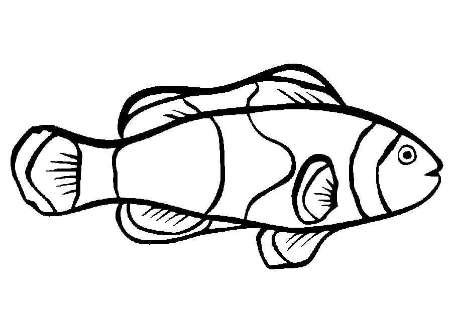 Colouring Page Fish - ClipArt Best