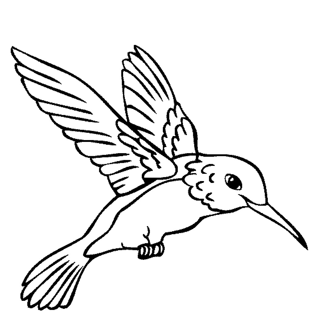 Printable Hummingbird Coloring Pages | Coloring Me