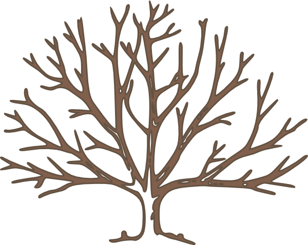 Template Of Tree With Branches