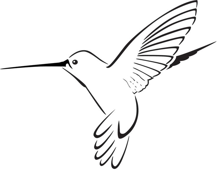 Hummingbird clip art