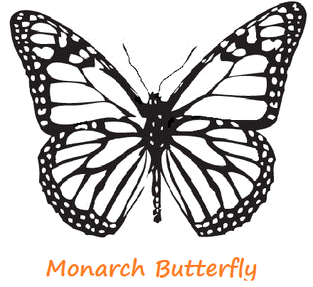 Monarch Butterfly Template | Free Download Clip Art | Free Clip ...