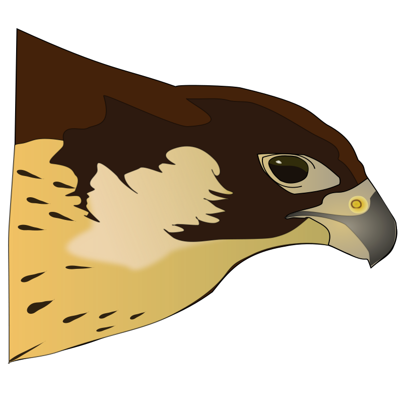 Free Hawk Clipart | Free Download Clip Art | Free Clip Art | on ...