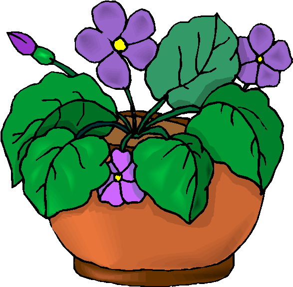 Growing Plant Clipart - Free Clipart Images