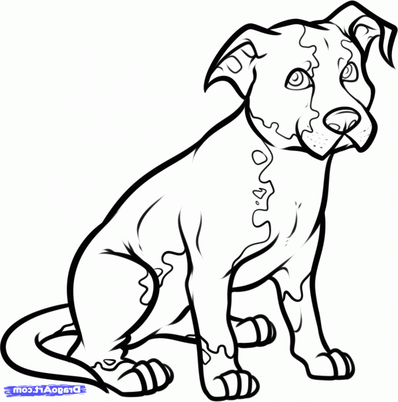 free clip art dog show - photo #39