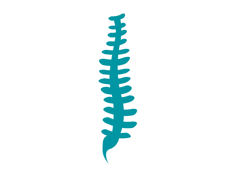 clipart spine logo - photo #4