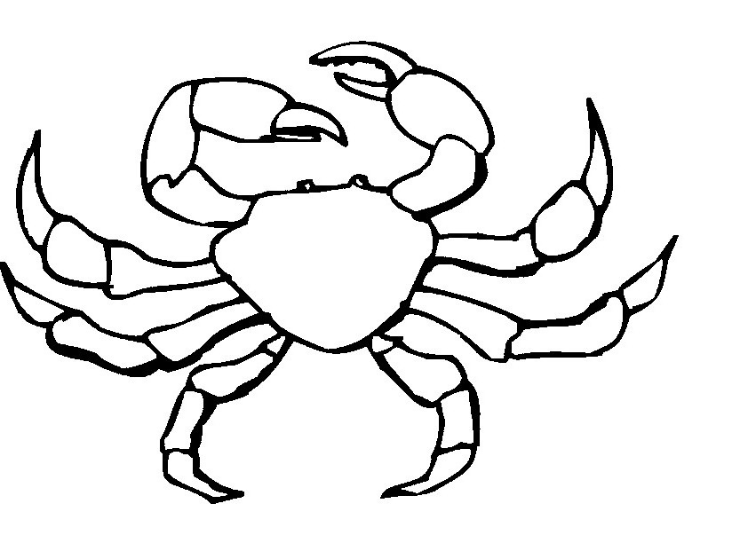 Crab clipart black and white
