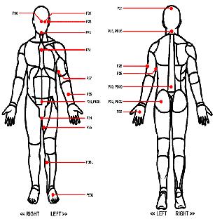 Human Body Diagram Outline