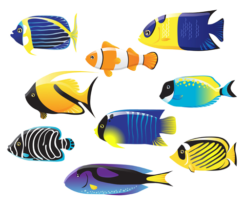 Fish Vector Free | Free Download Clip Art | Free Clip Art | on ...