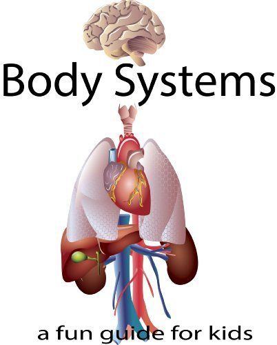 1000+ images about digestive system for kid