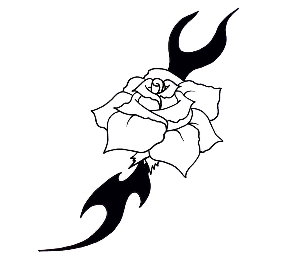 deviantART: More Like rose with rosebuds...digital by