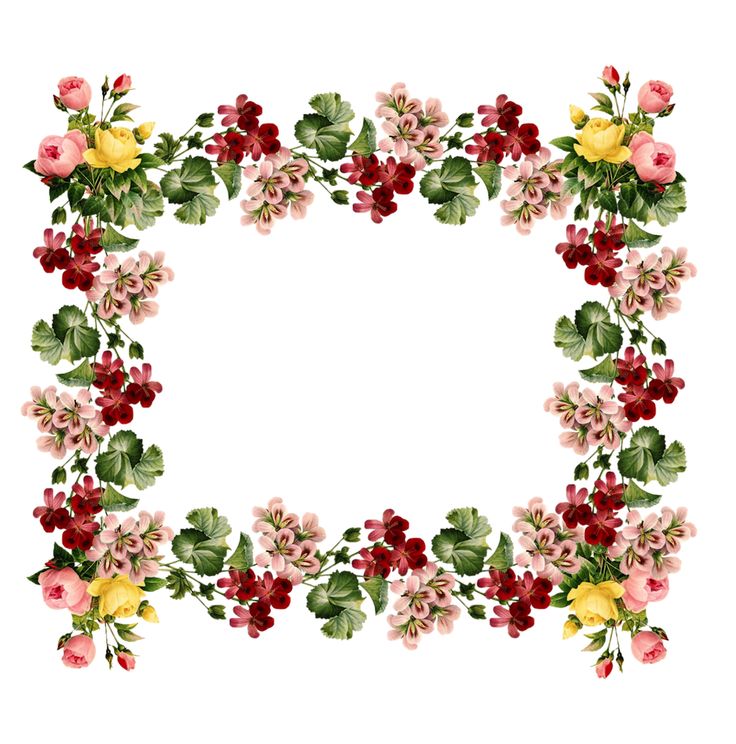 Vintage floral border clip art free