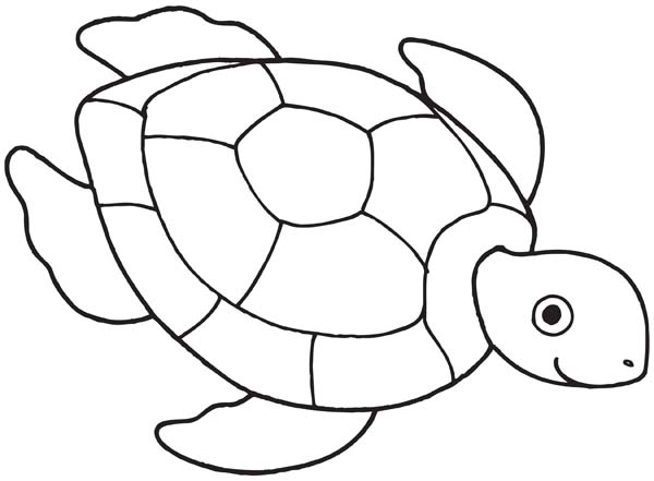 drawings of tortoise Colouring Pages
