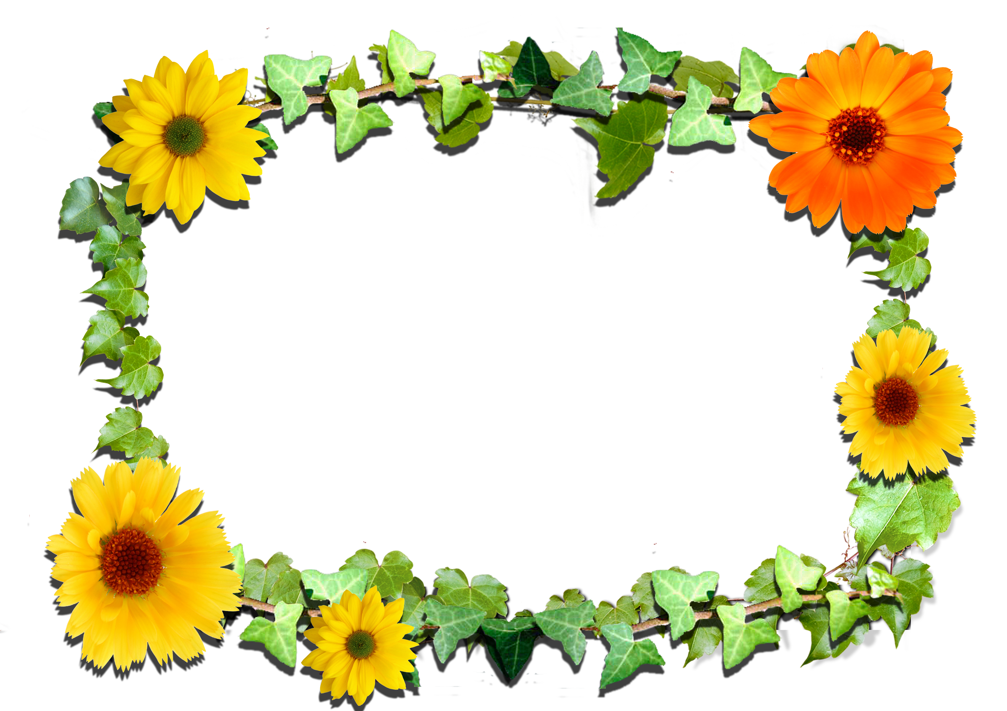 free clipart frames flowers - photo #47