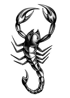 Scorpion Tattoos | Tattoos, Tattoo ...