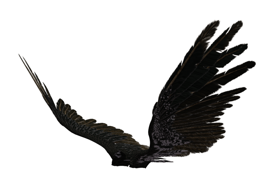 Dark angel wings png #36453 - Free Icons and PNG Backgrounds