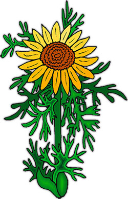 Free Sunflowers - Animated Gifs - Clipart
