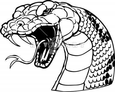 1000+ images about Snake head illustrations