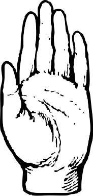 Free Hands, Arms & Fingers Clipart. Free Clipart Images, Graphics ...