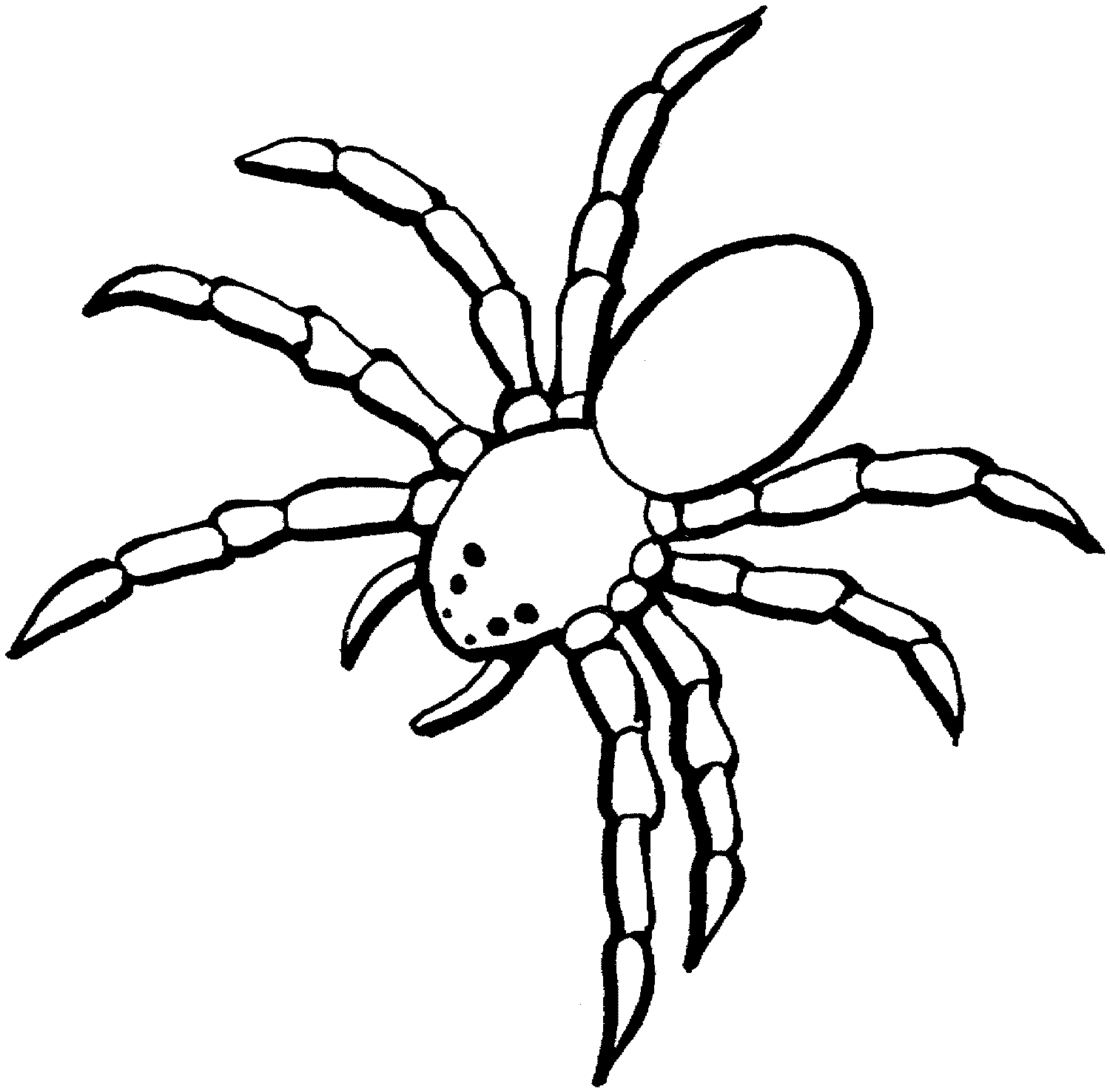 spider clip art free black and white - photo #12