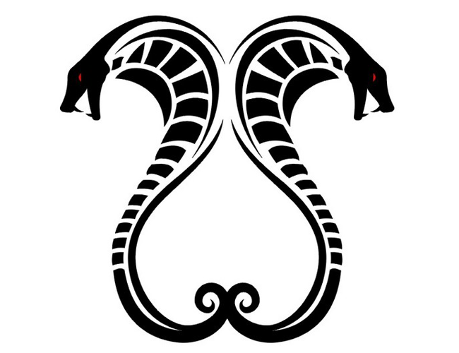 Cobra Snake Art