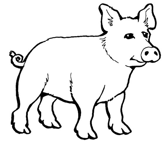 Animal Coloring Pages : Sad Pig Coloring Page Kids Coloring Art