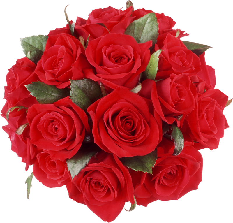 clipart gratuit bouquet de roses - photo #9