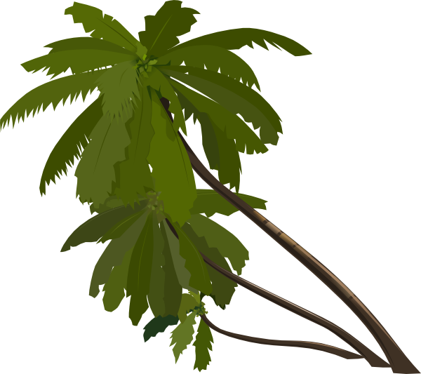 Three Palm Trees clip art Free Vector