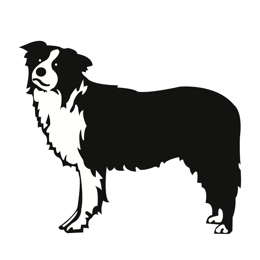 Free SVG File Download – Border Collie Dog – BeaOriginal - Blog