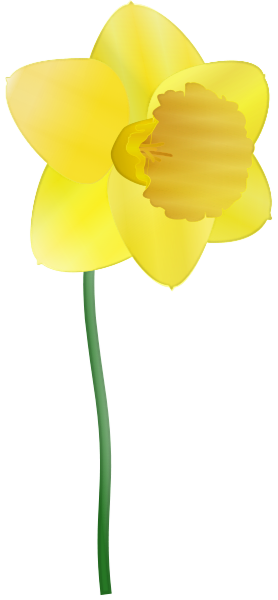 Free Daffodil Clipart - Public Domain Flower clip art, images and ...