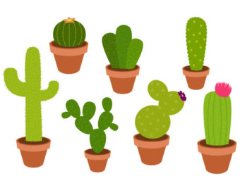 Cactus clip art | Etsy