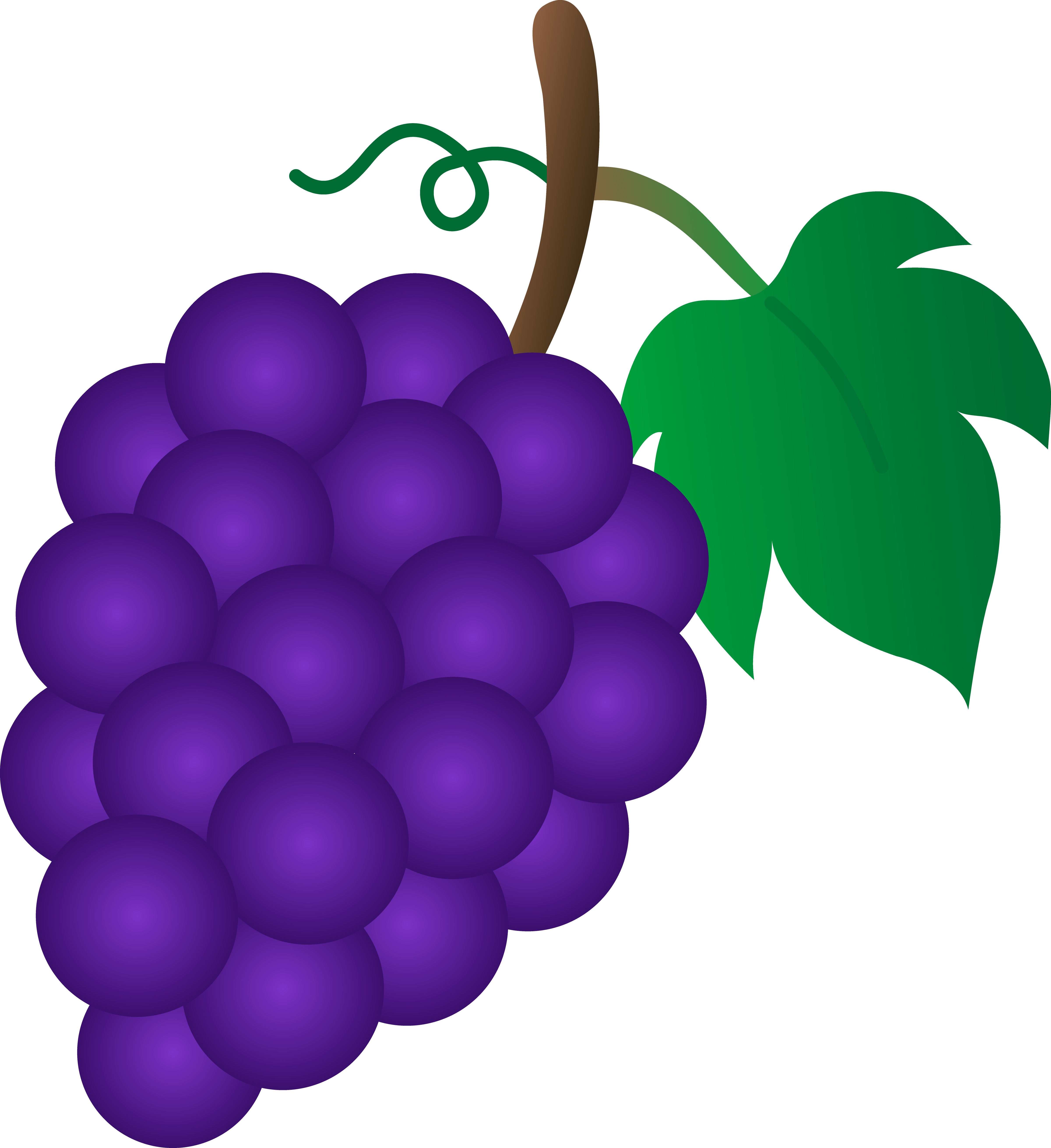 Cartoon grapes clipart
