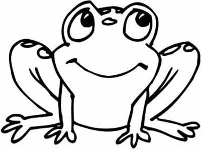 Frog Drawing | Frog Illustration ...