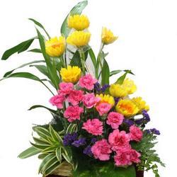May Flower, Mumbai - Trader & Service Provider of Flower Baskets ...
