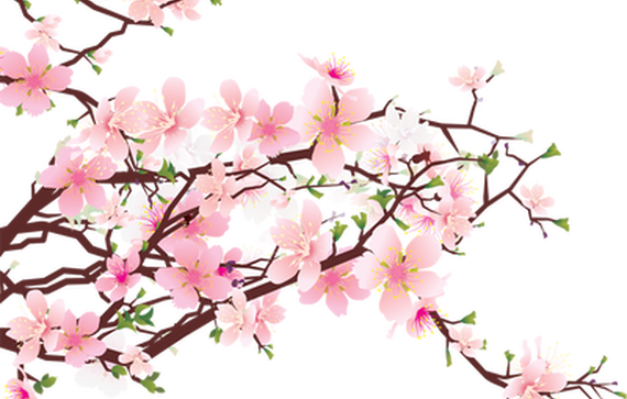 34 Wonderful Cherry Blossom Clip Art Wallpaper - 7te.org
