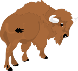 Bison Clipart - Free Clipart Images