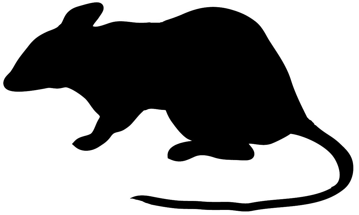 Clipart black and white silhouette rat