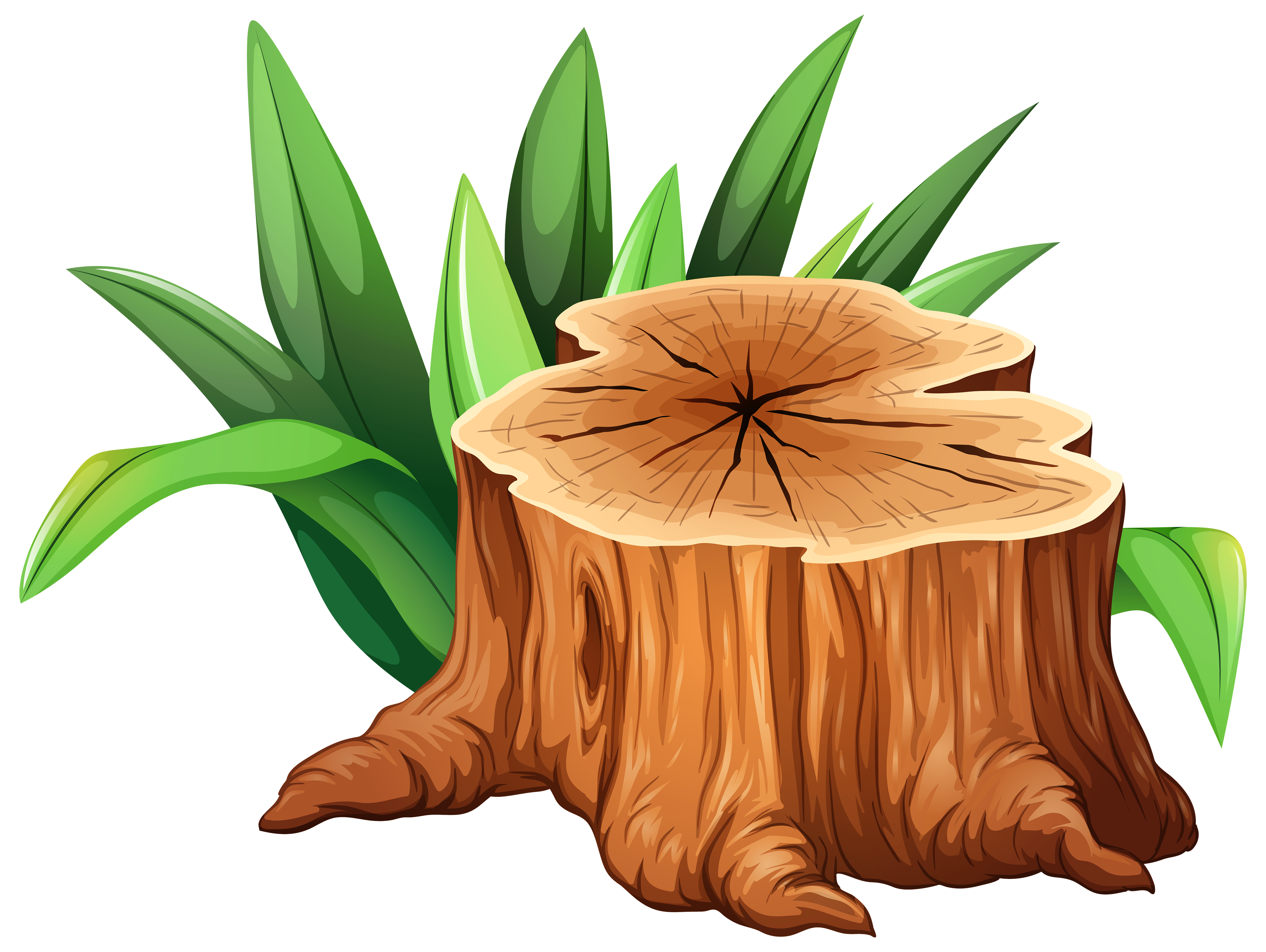 Tree Stump Clipart - ClipArt Best