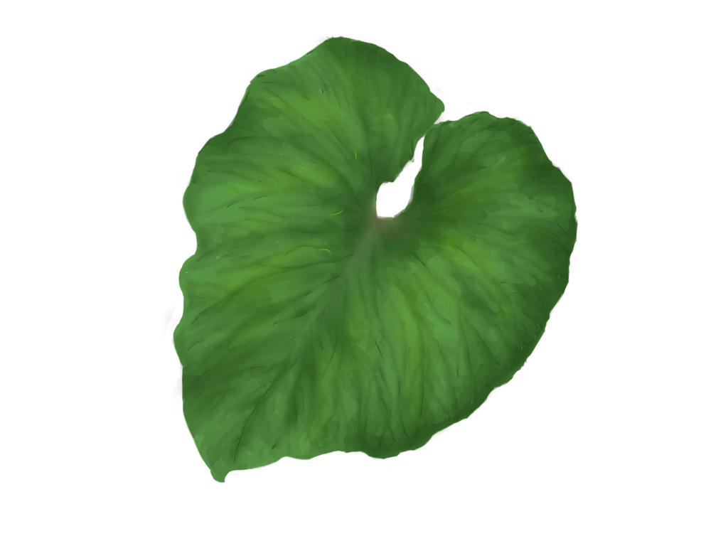 456 views Green leaves PNG images free download pictures